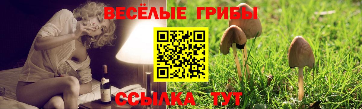 Нижневартовск  купить закладку  Вход с VPN  Псилоцибиновые грибы ЛСД 